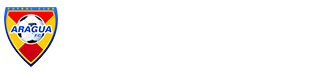 Aragua Fútbol Club